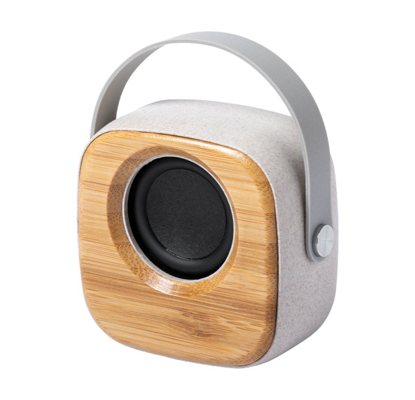 Wheat Straw and Bamboo Speaker